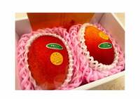 安めぐみ『こんばんは☺︎』