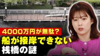 【映像】4000万円で作ったのに「14年間放置」港区にある桟橋