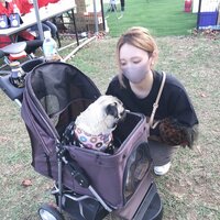 恋愛マスター くじら『奥さんに食洗機大臣に任命された』