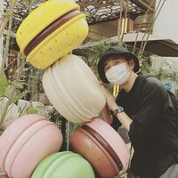 有吉弘行のマカロンとの“おばショット”に「可愛すぎます」「大好きです」と反響