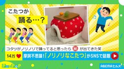 突然コタツがノリノリで踊り出した？まさかの“正体”に反響「新たな犬ミームになりそうな予感」