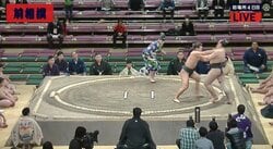 元横綱・朝青龍のおい、豊昇龍が前相撲で連勝　鋭い突き押しを披露