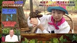 「どうしたっ!?」テレ朝女子アナを襲った悲劇…カメレオンの威嚇に逃走する“珍映像”にスタジオ騒然