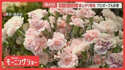 母の日カーネーション値上がりも　ホルムズ海峡封鎖で及ぶ影響　原油高騰の長期化懸念