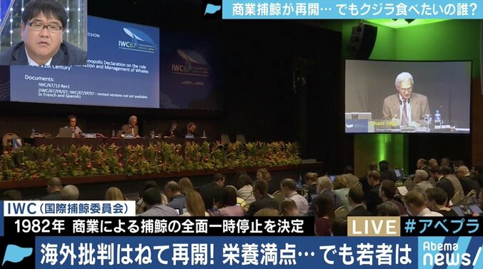 商業捕鯨が解禁されても漁獲量は変わらず、クジラ肉の値段はむしろ上昇?背景にあるのは”日本の配慮”か 4枚目