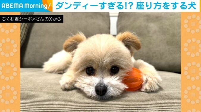 ちくわくん