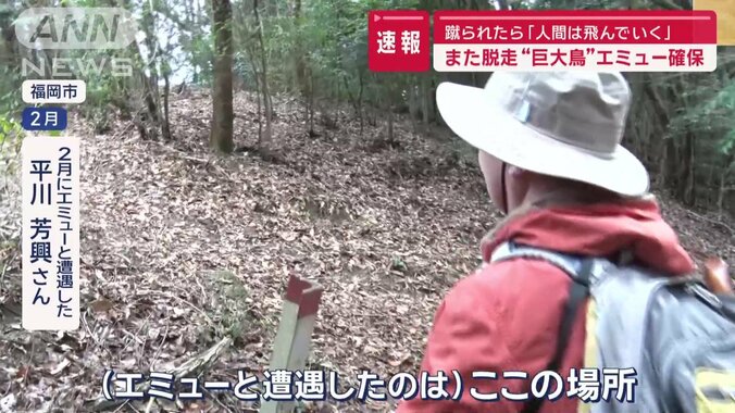 遭遇した場所