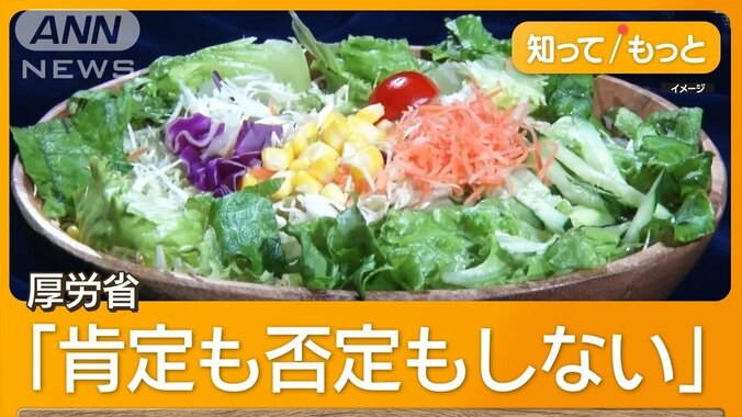 野菜から食事「ベジ・ファースト」厚労省が報告書から削除　「効果なし？」動揺広がる 1枚目