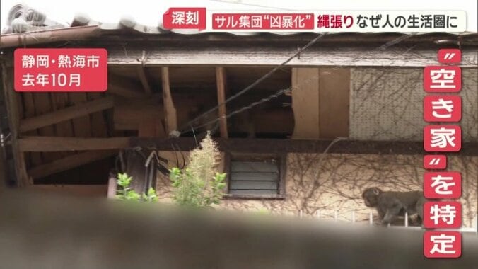すみかにしているとみられる“空き家”を特定