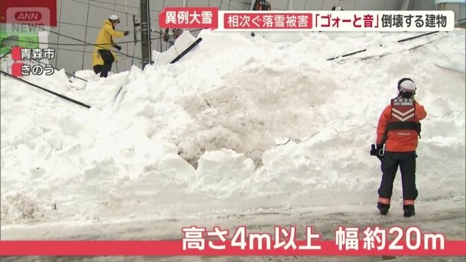 電線を巻き込み歩道をふさぐ