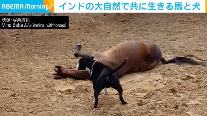 インド北部、グルグラム