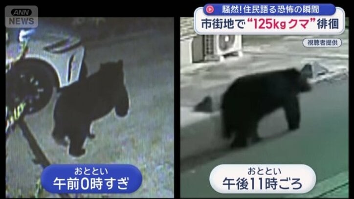 同一個体の可能性