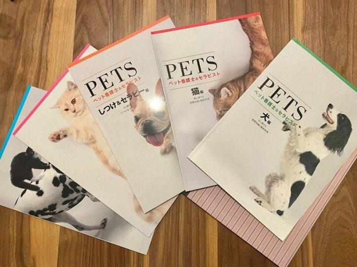 内山信二の妻、資格取得のために勉強を開始「好きな事ならやれる」