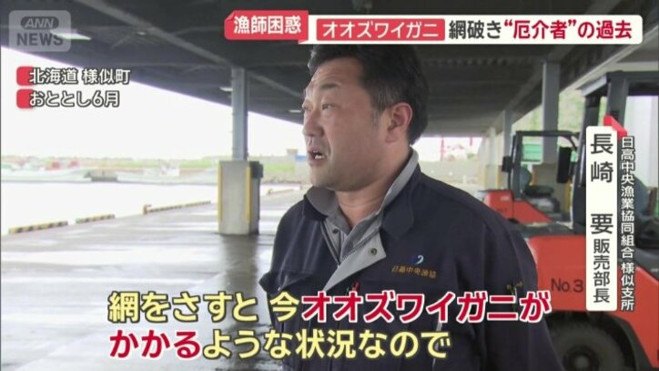 数年前は“厄介者”だった