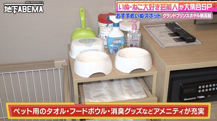 【写真・画像】プラーン!ハンモックで吊るされる猫…その意外な目的に稲垣吾郎も興味津々 2枚目