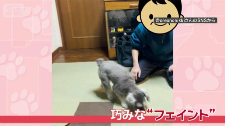 おやつ、いただくワン！