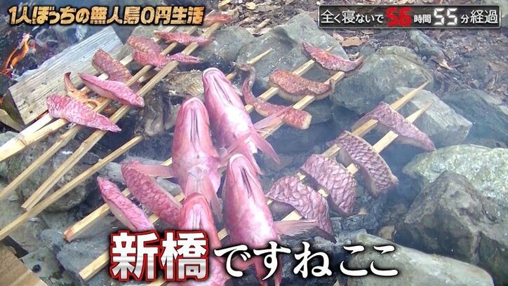 ナスDが丹精込めて作った「無人島おせち」手作りかまぼこに高級魚の煮付けまで!