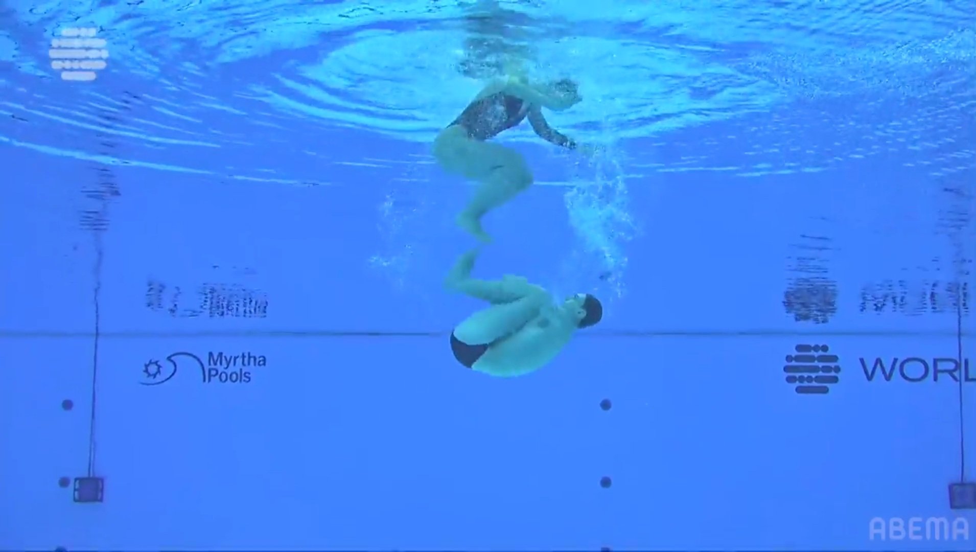 【写真・画像】　2枚目