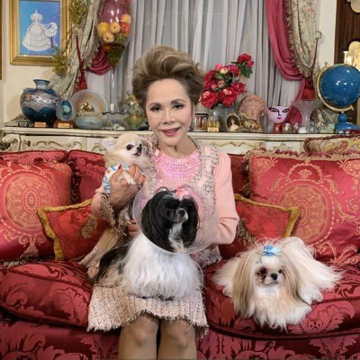 デヴィ 夫人 犬