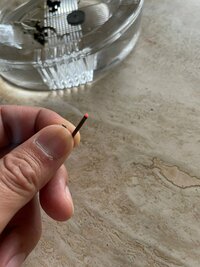 市川海老蔵『朝の治療』