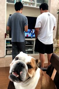 北斗晶『ある日の出来事』