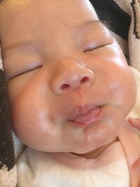 上原さくら『みかんちゃんから、じゃがいもちゃん？』