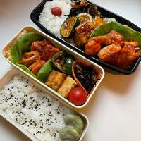 渡辺満里奈『お弁当生活スタートですが』