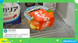 「これ欲しい！」“全力で主張”するステッカーがSNSで話題 投稿主「汎用性がかなり高いと思う」