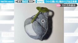 「脳がバグる」“ぬいぐるみにしか見えないトトロ"の立体感に「もふもふ感すごいのに平面…」「絶対掴めると思ったのに！」と反響