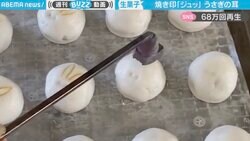 「暇さえあれば永遠に見ている」“うさぎの饅頭”が誕生する作業風景に癒される人続出