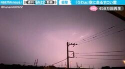 雲全体に広がる“稲妻” 衝撃の瞬間映像に「これ、キングギドラの引力光線ですよ」驚きの反響