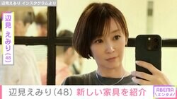 辺見えみり（48）、自宅リビングの新しい家具を紹介 「本当ここに住みたい」「インテリアもステキ」などの声