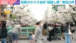 「ちょっと惜しいな」「やむを得ない配慮じゃないかな」230万人が訪れる東京・中目黒の桜まつりの会場に“目隠し幕”を設置