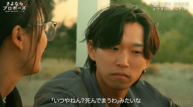 【写真・画像】　2枚目