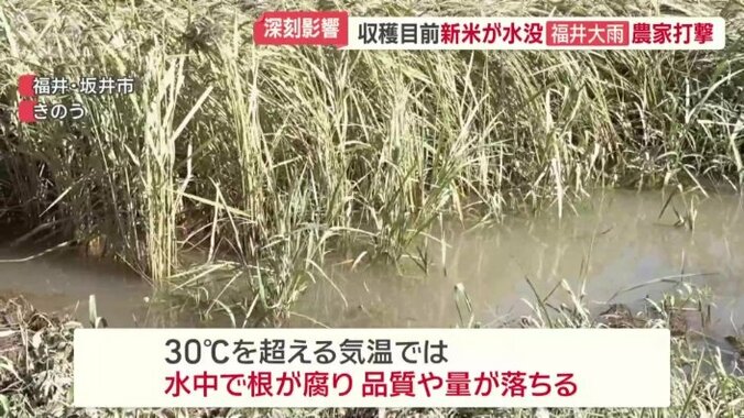 30℃を超える気温では…