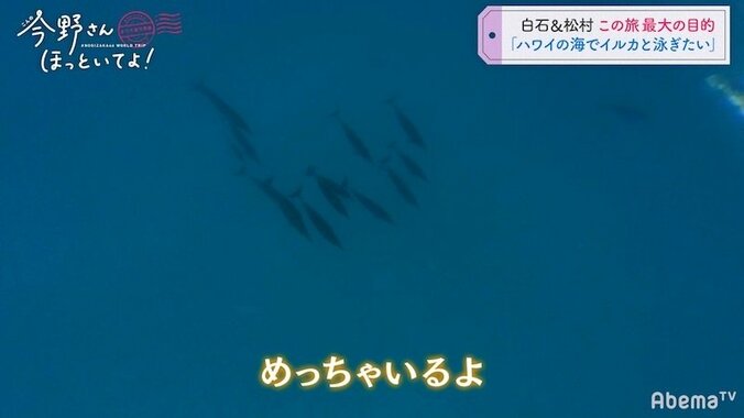 「イルカと泳ぎたい」白石麻衣＆松村沙友理、2人の夢がハワイで叶う 4枚目