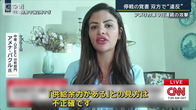 ケプラー社中東・OPEC分析部門　アメナ・バクル氏