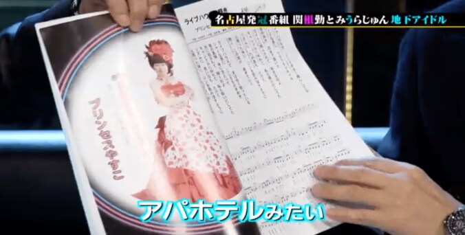 67歳の地下アイドル・プリンセスやすこ　その生き様に迫る 4枚目