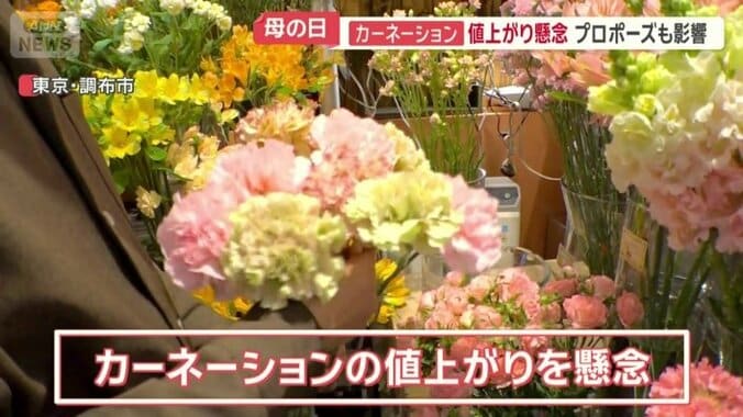 カーネーションも値上がりを懸念