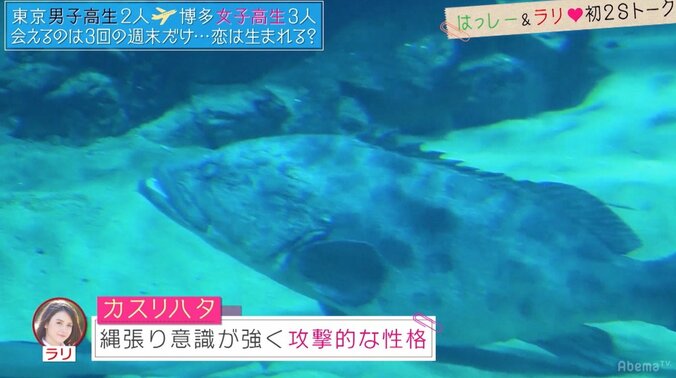 ゆいP、恋愛経験のない男子高生のKY言動にショック「こんなに衝撃的なことはない」 13枚目