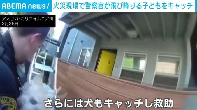 犬をキャッチする瞬間