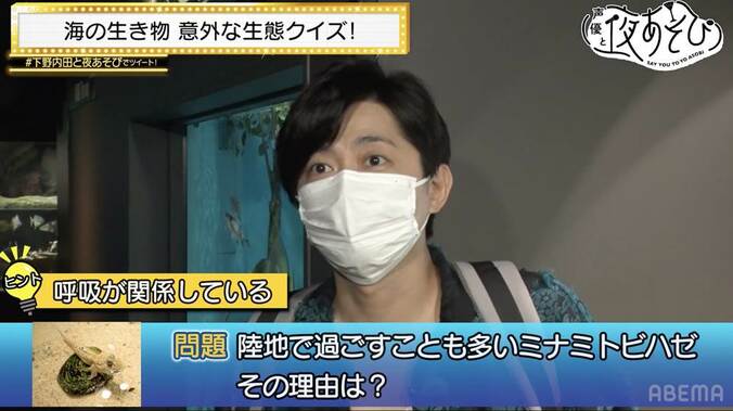 下野紘＆内田真礼が大赤面！夜の水族館で胸キュンセリフを披露『声優と夜あそび』 3枚目