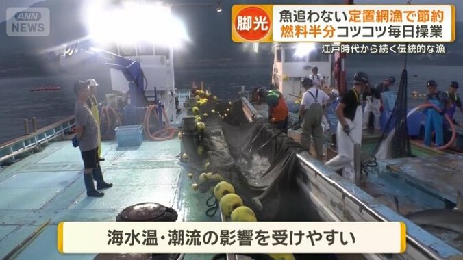 魚を追ってもとれない可能性がある漁と比べると、効率的