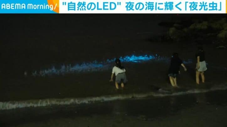 海岸