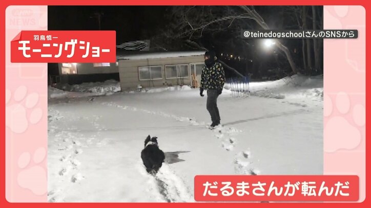 「バレないワン」　見てぬ間にジリジリ前進…ストップ！　だるまさんが転んだしてる？