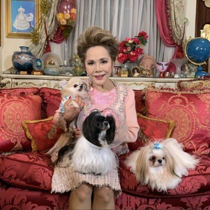デヴィ夫人、愛犬に囲まれる自宅ショットを公開「ママを 取りっこしています」