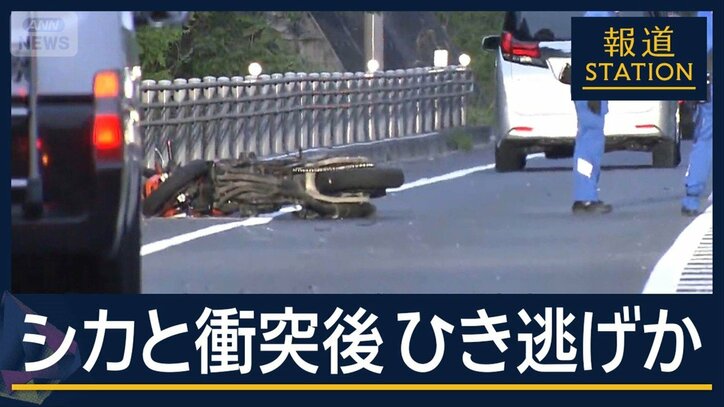 シカと衝突後“ひき逃げ”されたか…現場に倒れたバイク 運転中に動物と遭遇 対処法は