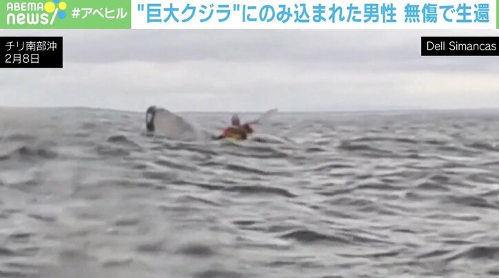 巨大クジラに飲み込まれる瞬間