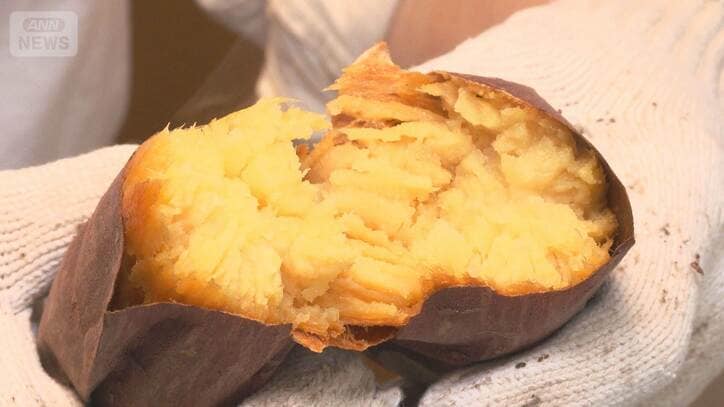 秋の味覚の焼き芋ピンチ　長雨で千葉のサツマイモ畑に被害　店頭は品不足