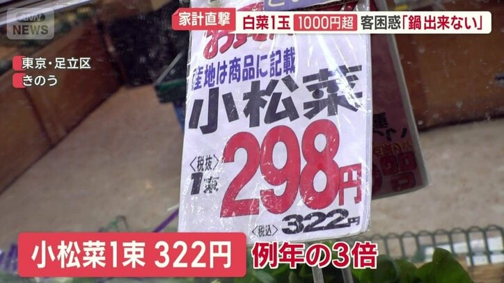 小松菜は例年の3倍